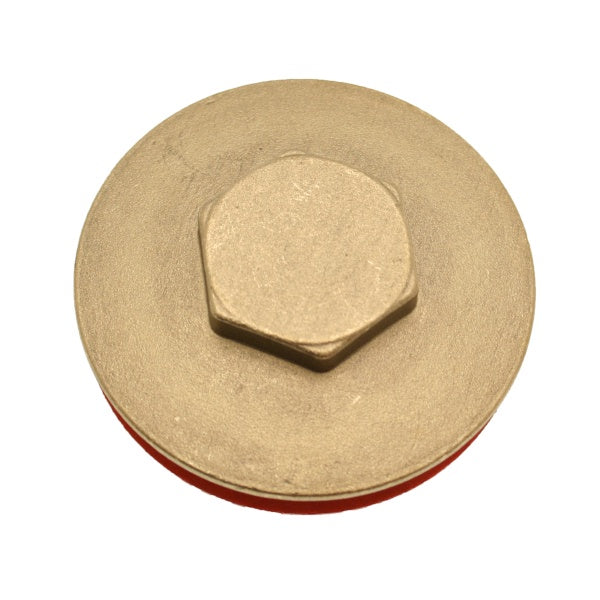 Immersion Heater Plug