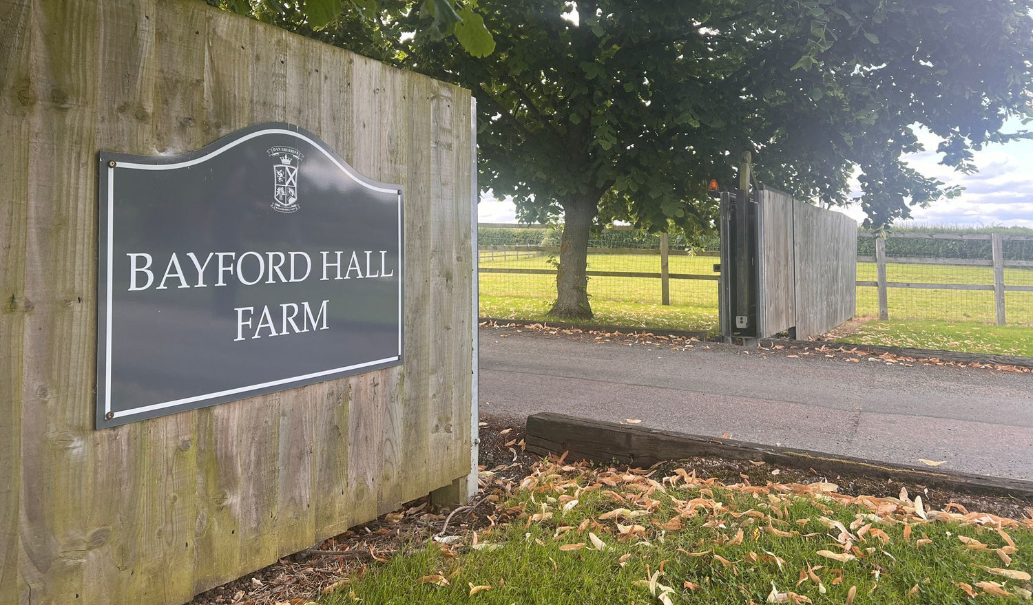 Bayford Branch